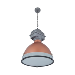 Picture of 1 LT  industrial style Pendant