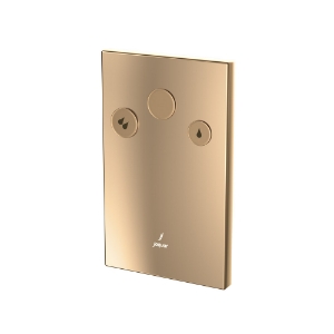 Picture of In-wall i-ﬂushing system - Auric Gold