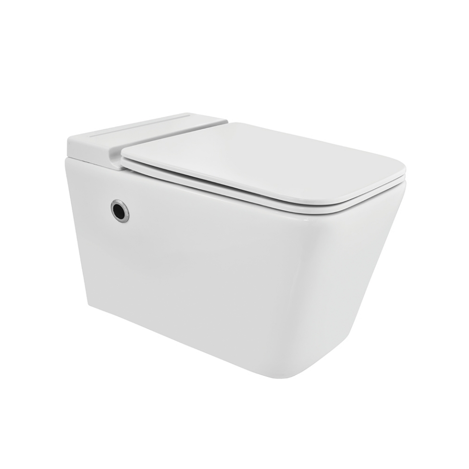 Picture of Tankless Wall Hung WC