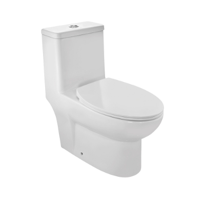 Picture of Rimless Single Piece WC